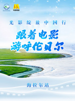 国内免费视频成人精品